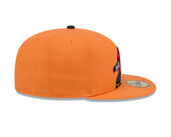 Aberdeen IronBirds Chesapeake Decoy 2024 New Era 59FIFTY Fitted